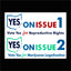 Vote Yes on Issue 1 and 2 Yard Sign and Stake