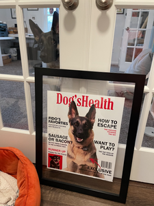 Magazine Cover Print
