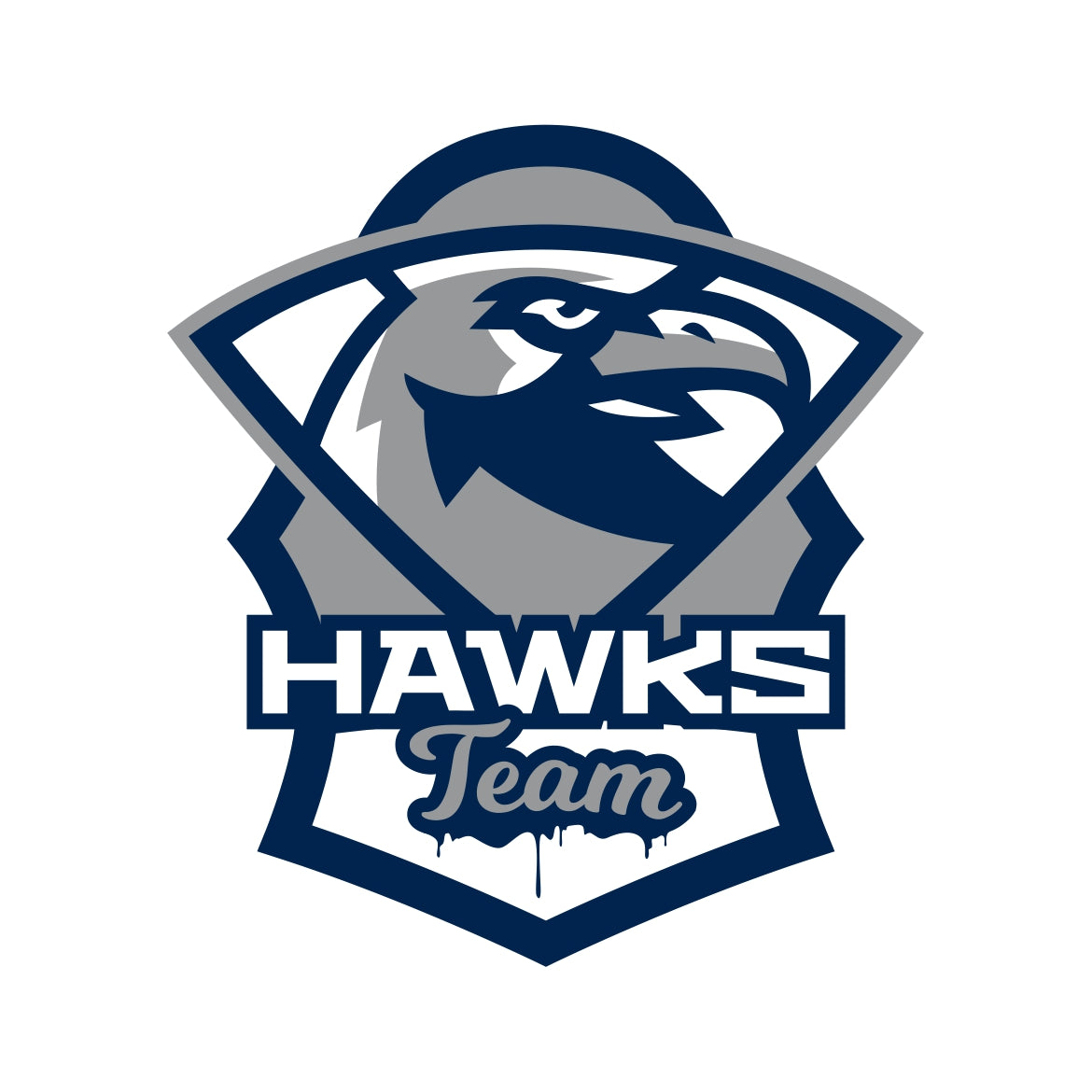 Hawks Team Decal