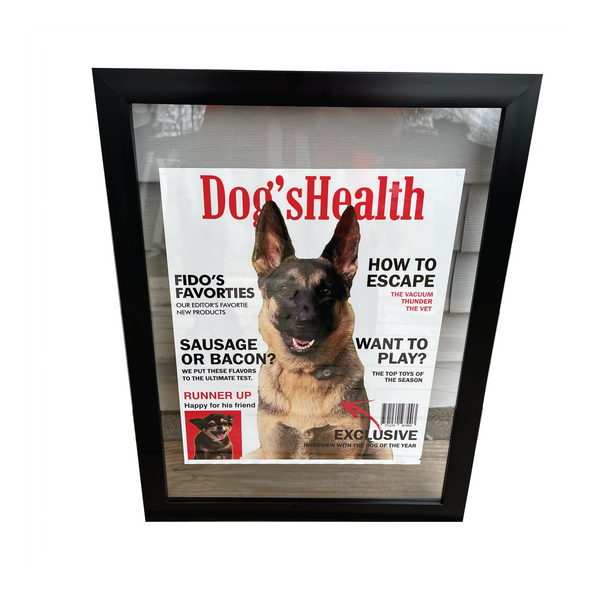Magazine Cover Print