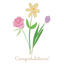 Floral Greeting Cards