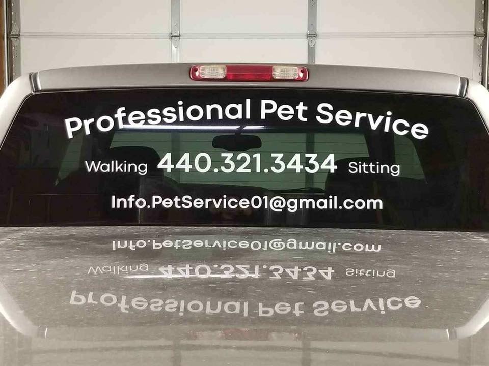 Vehicle Window Graphics - Ready to Apply